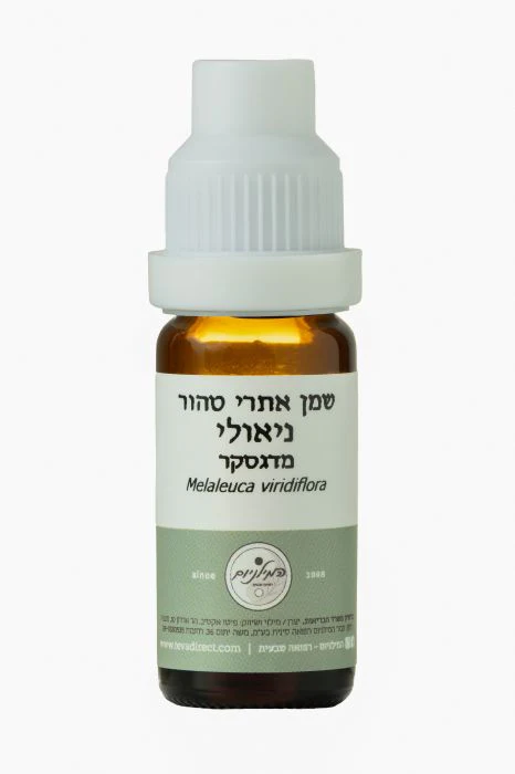 תמונת מוצר 1