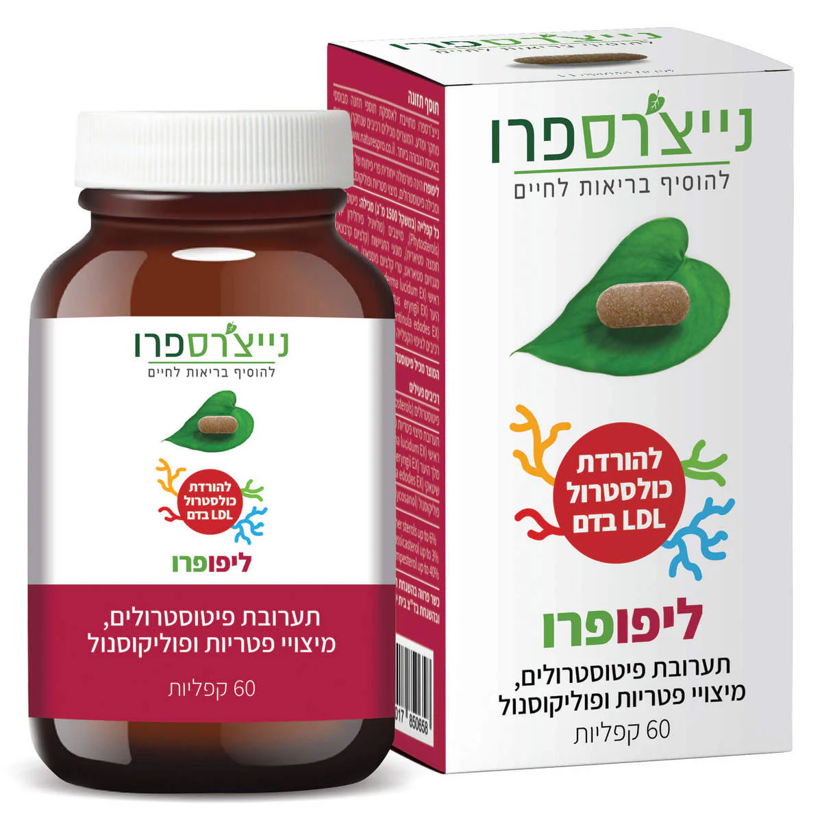 תמונת מוצר 1