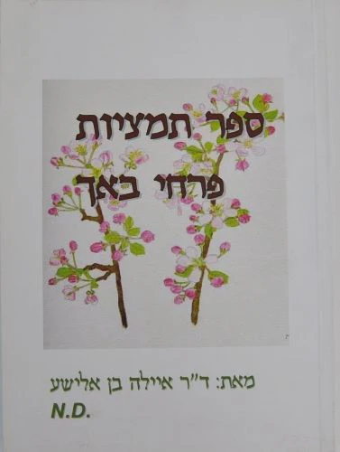 תמונת מוצר 1