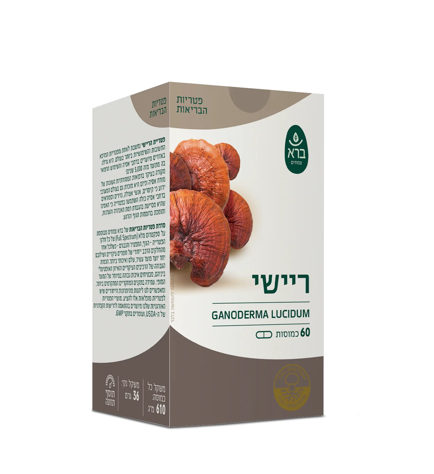 תמונת מוצר 1
