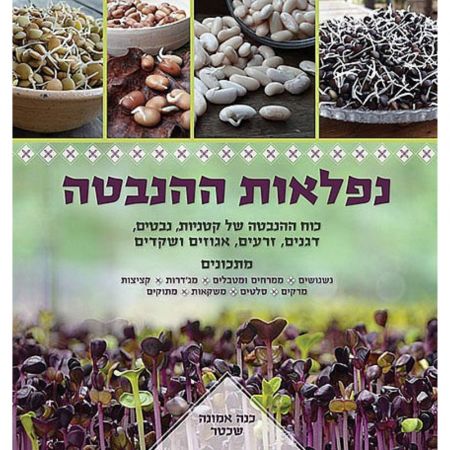 תמונת מוצר 1